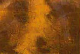 Iron oxide finish sample